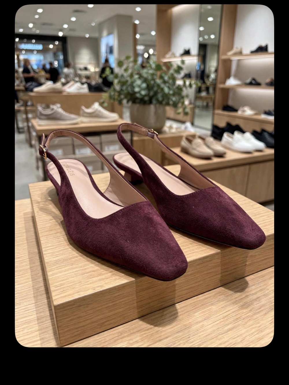 Women's Burgundy Faux Suede Slingback Pointed Kitten Heels